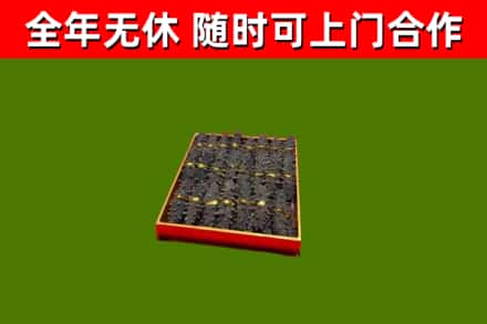 丹东回收海参